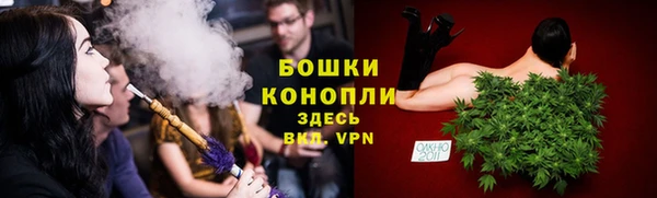 PSILOCYBIN Ладушкин